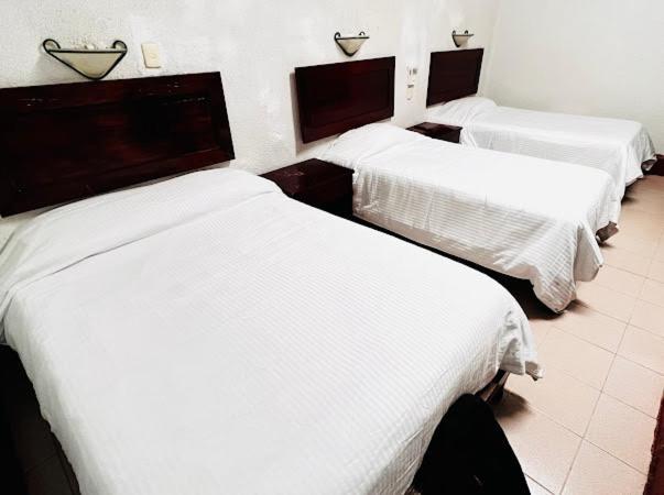Hotel Nueva Antequera Oaxaca Exteriör bild